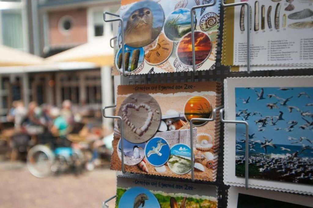 Gastenverblijf Janssen In Schagen Eksteriør billede